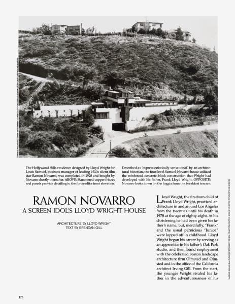 Article page 176